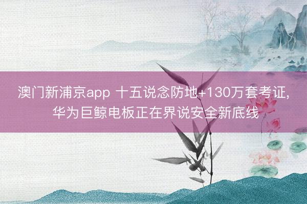 澳门新浦京app 十五说念防地+130万套考证, 华为巨鲸电板正在界说安全新底线