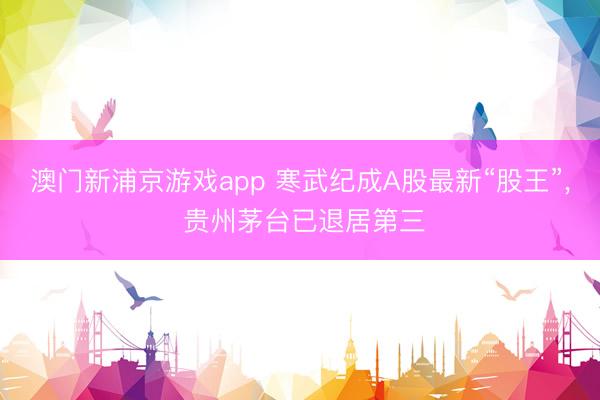 澳门新浦京游戏app 寒武纪成A股最新“股王”, 贵州茅台已退居第三