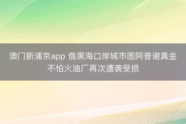澳门新浦京app 俄黑海口岸城市图阿普谢真金不怕火油厂再次遭袭受损